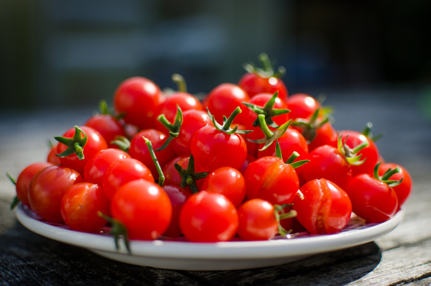 Cherry o tomate grande: ¿cuál plantar?