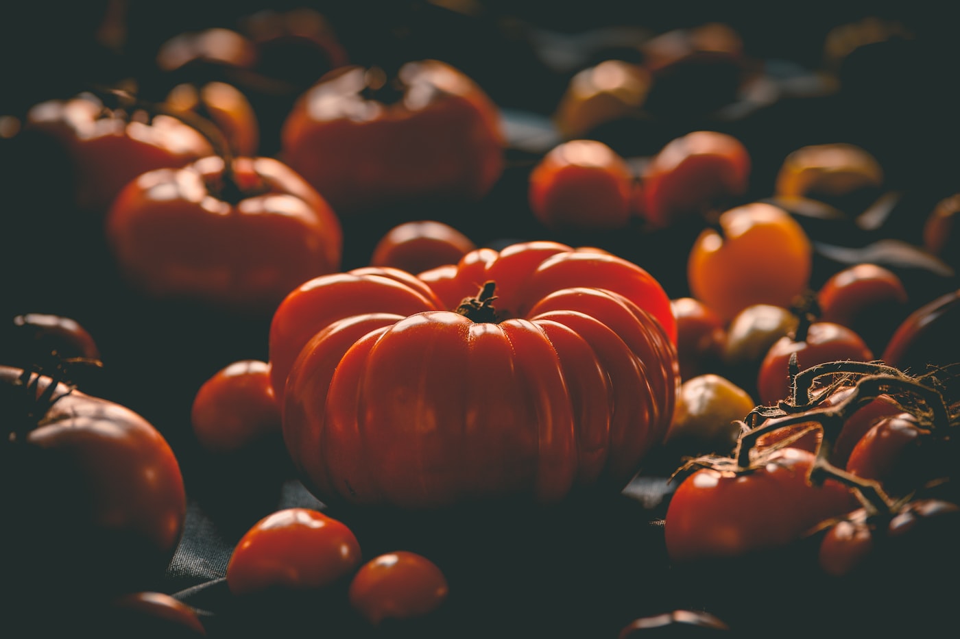 Tomate Brandywine