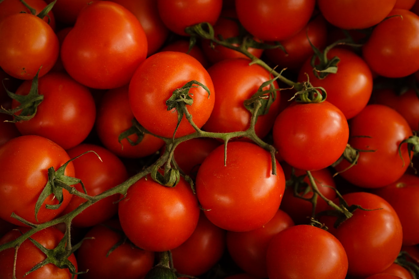 Tomate cherry