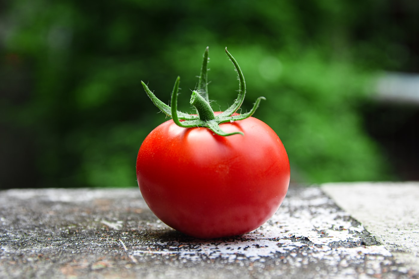 Tomate cuarenteno