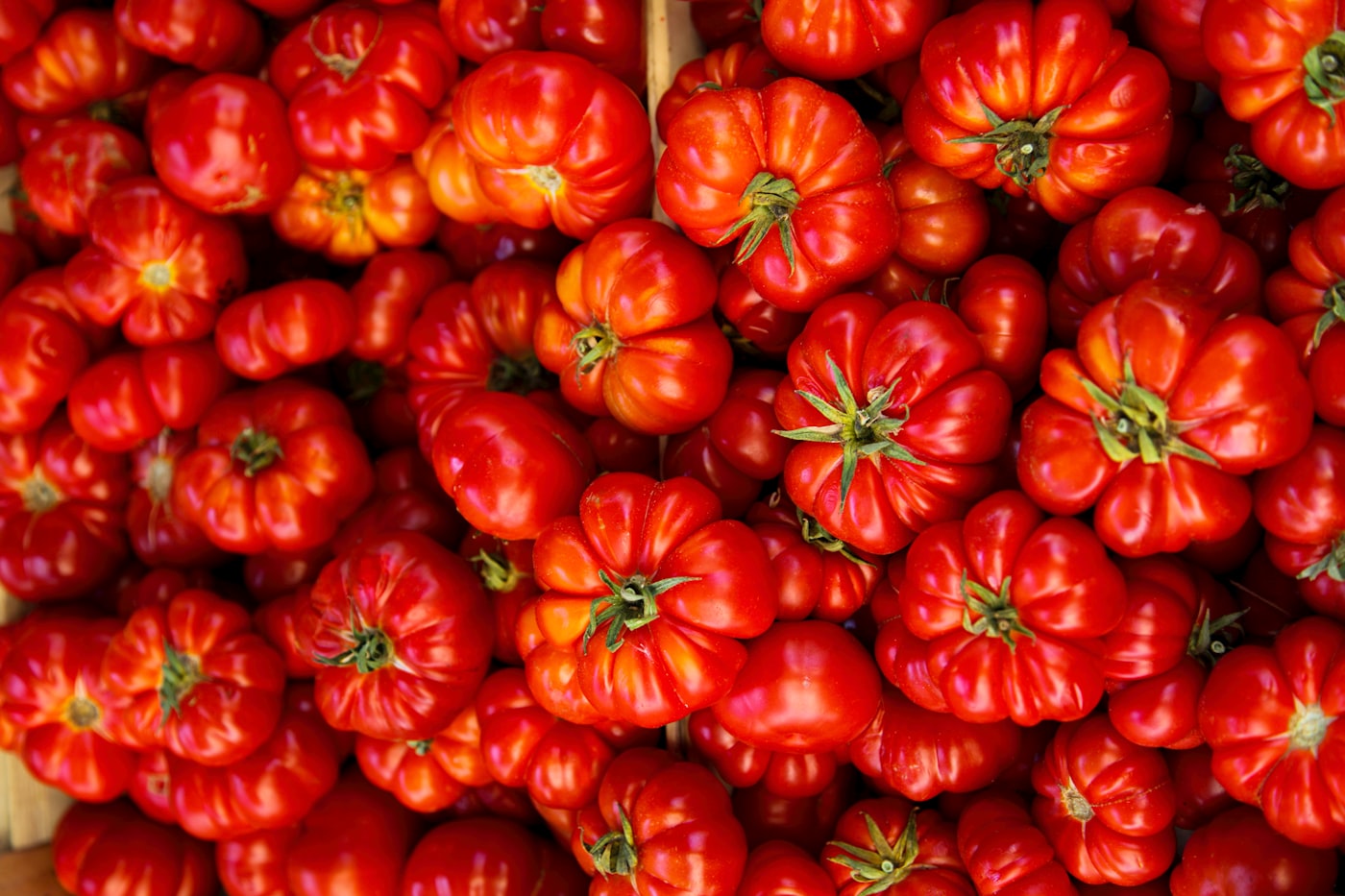 Tomate Mortgage Lifter