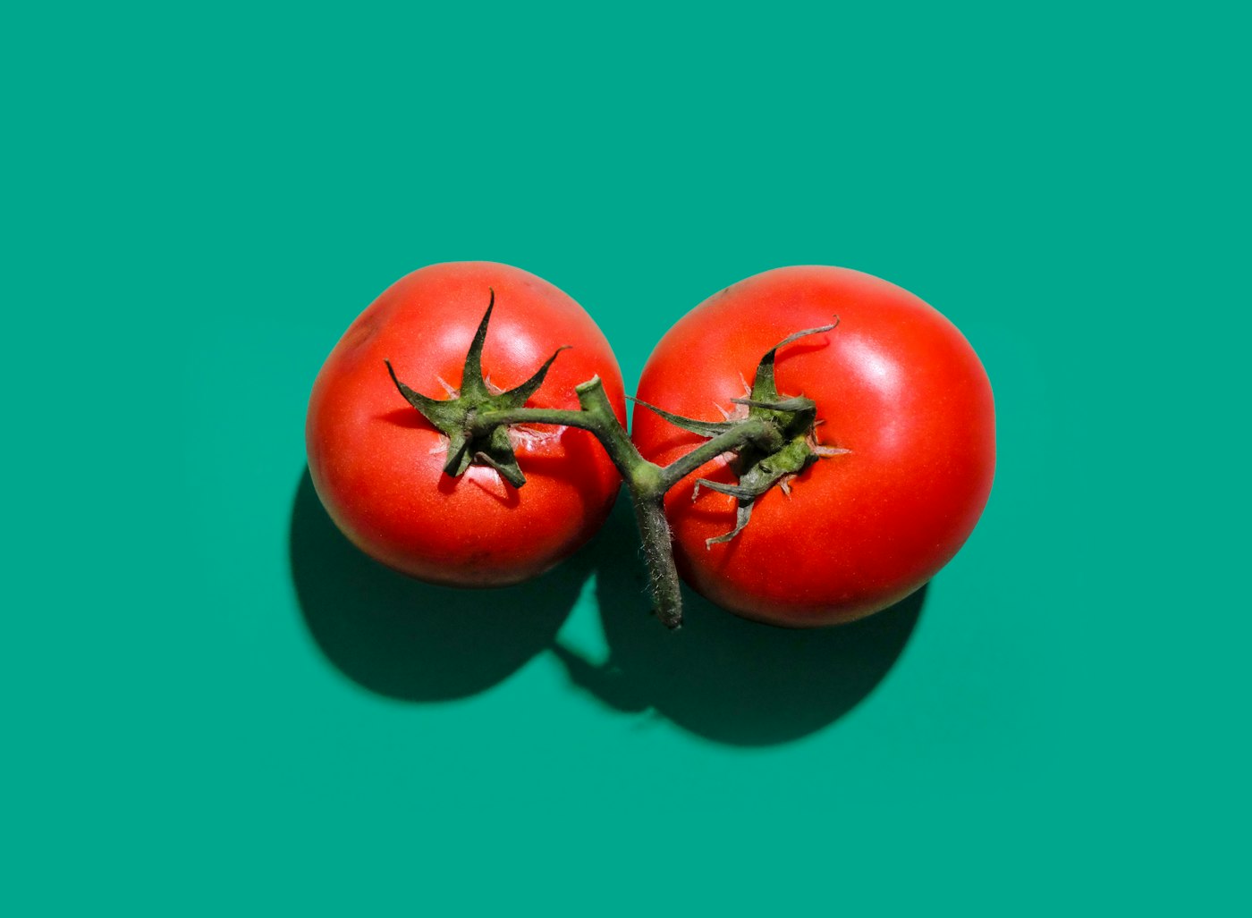 Tomate Muchamiel