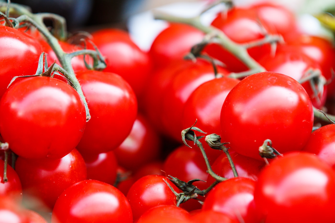 Tomate Raf